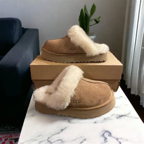 uggs disquette dupe